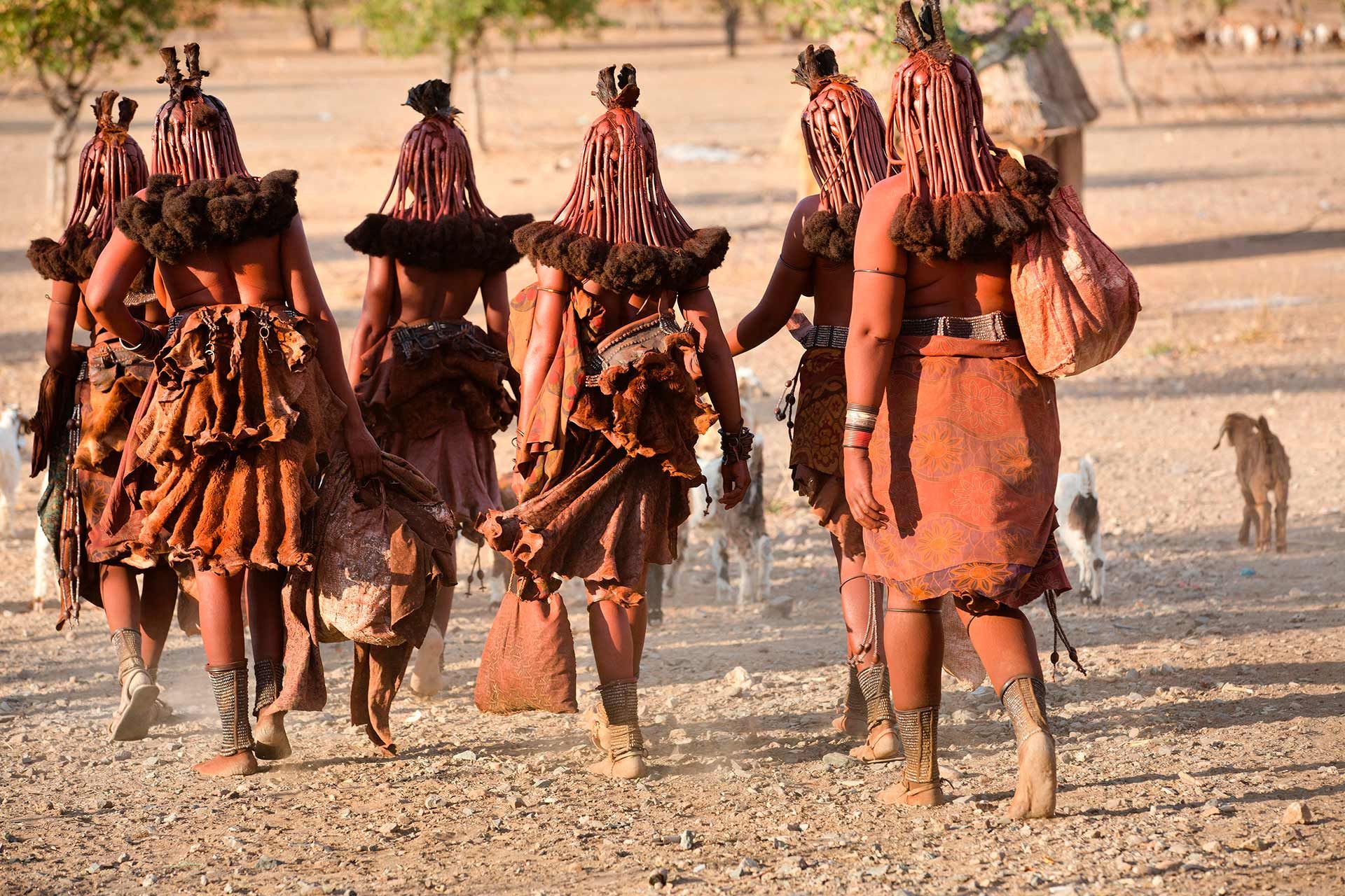 Safari Eksperten | Få unikke oplevelser i Namibia